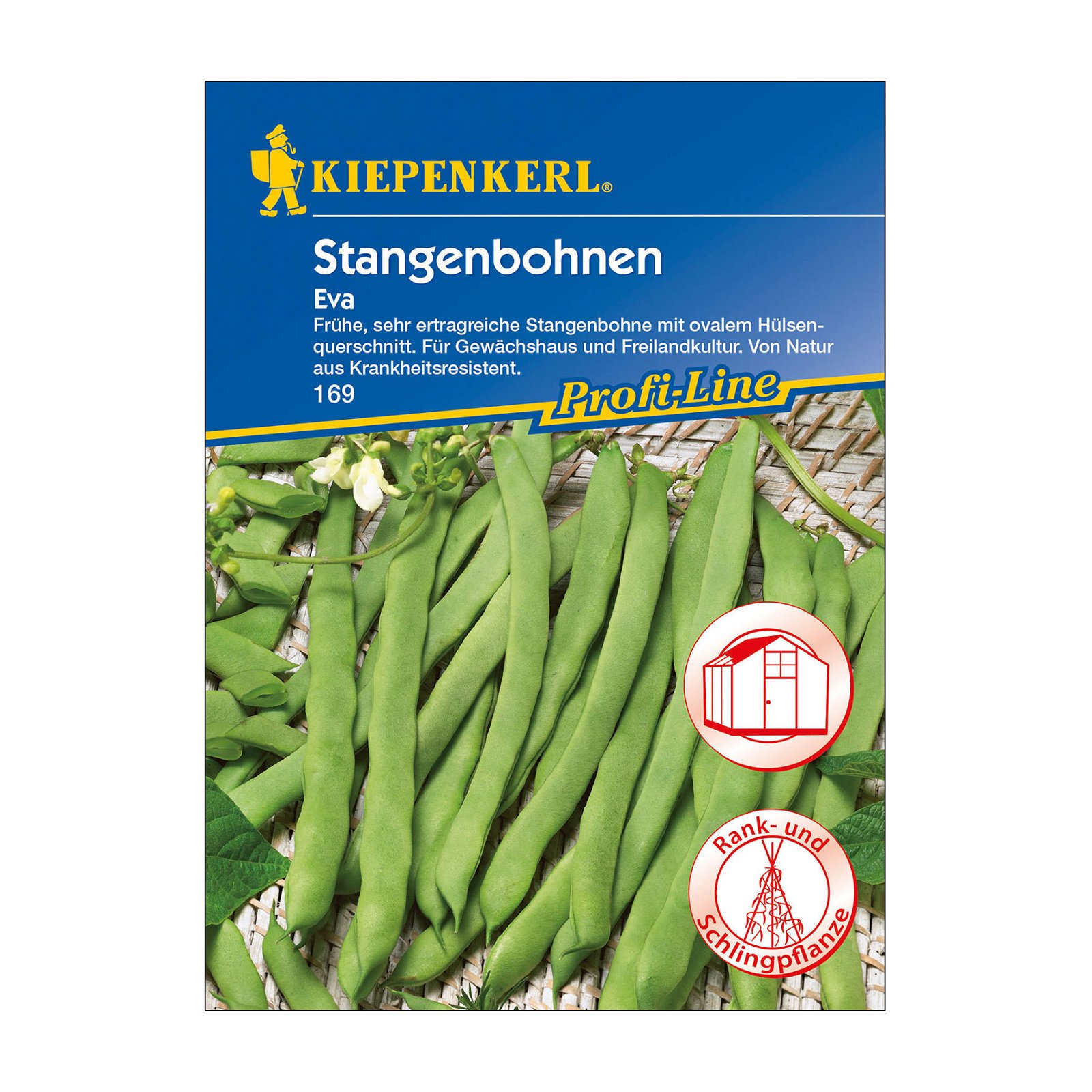 Gemüsesamen, Stangenbohnen 'Eva'