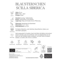 Blausternchen (Scilla Siberica) blau, 15 Blumenzwiebeln Blausternchen (Scilla Siberica) blau, 15 Blumenzwiebeln