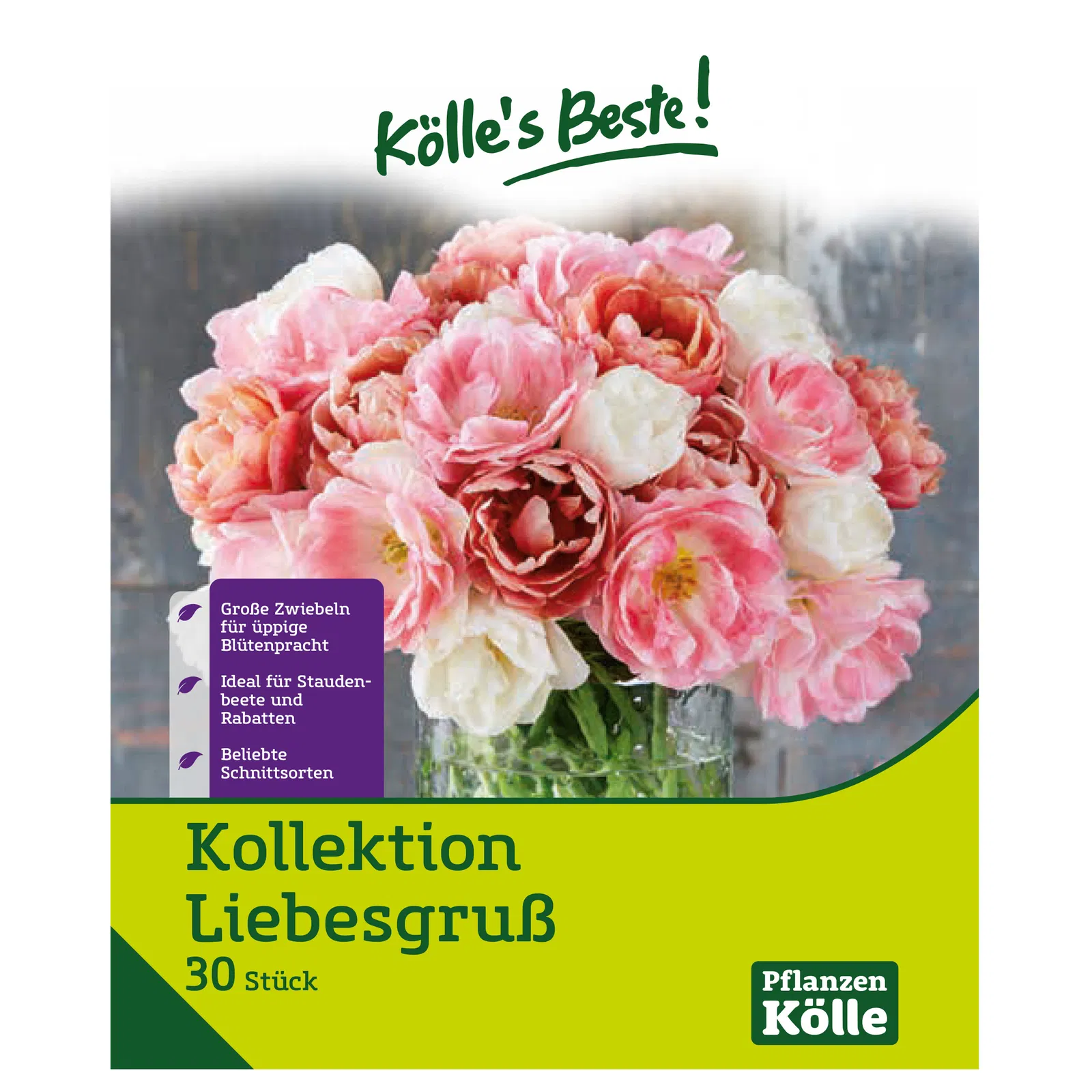 Tulpenmischung, Kollektion 'Liebesgruß', 30 Blumenzwiebeln