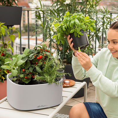 Lechuza 'Pila Color', lichtgrau, ca. 35 x 35 x H 16,5 cm Lechuza 'Pila Color', lichtgrau, ca. 35 x 35 x H 16,5 cm