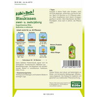 Kölle's Beste Blumensamen Blaukissen 