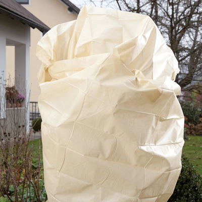 Kölles Beste Schutzvlies, beige, L5 x B1,5 m Kölles Beste Schutzvlies, beige, L5 x B1,5 m