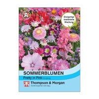 Sommerblumen-Mischung „Pretty in Pink“ (Helianthus annuus), Blüten in Rosa, lange Blütezeit