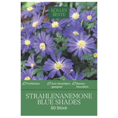 Strahlen-Anemonen Blanda 'Blue Shades', Größe 5+, 15 Blumenzwiebeln Strahlen-Anemonen Blanda 'Blue Shades', Größe 5+, 15 Blumenzwiebeln
