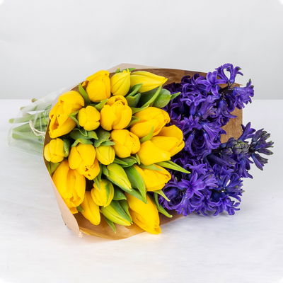 Schnittblumen-Mix aus 20 gelben Tulpen & 9 blauen Hyazinthen