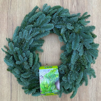 Adventskranz, Nobilistanne, halbrund gebunden, ca. 35 cm Ø Adventskranz, Nobilistanne, halbrund gebunden, ca. 35 cm Ø