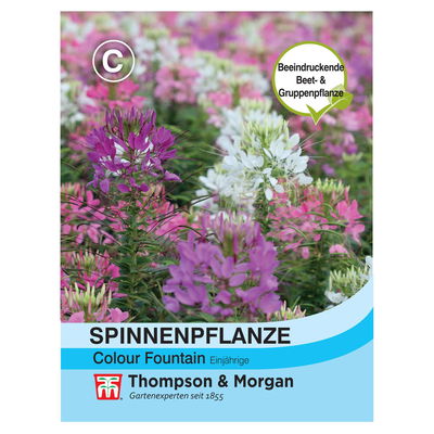 Thompson & Morgan Blumensamen Spinnenblume Colour Fountain Mischung