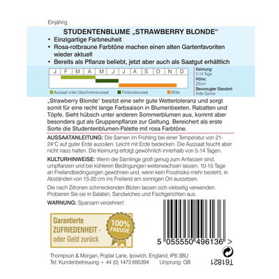 Tagetes (Studentenblume) Strawberry  / einjährig, rotbraun, wetterresistent