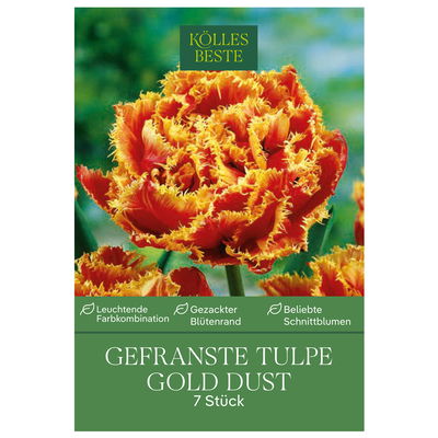 gefranste Tulpen 'Gold Dust', rot, gelb, Größe 11/12, 7 Blumenzwiebeln gefranste Tulpen 'Gold Dust', rot, gelb, Größe 11/12, 7 Blumenzwiebeln