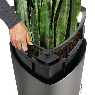 Lechuza 'Delta 40', scarlet-rot, ca. 39 x H 75,5 cm