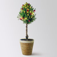 Weihnachtsbäumchen auf Stamm inkl. Deko, rot-gold, Topf-Ø 23 cm, Höhe ca. 85 cm Weihnachtsbäumchen auf Stamm inkl. Deko, rot-gold, Topf-Ø 23 cm, Höhe ca. 85 cm