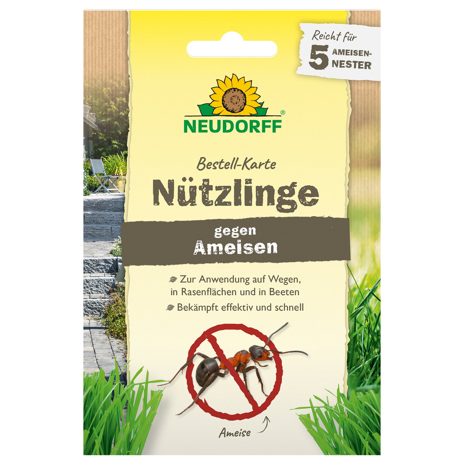 Neudorff Bestell-Set Nützlinge gegen Ameisen, 5 Mio Stück Neudorff Bestell-Set Nützlinge gegen Ameisen, 5 Mio Stück