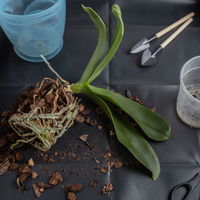 Online Kreativ-Kurs Online Kreativ-Kurs