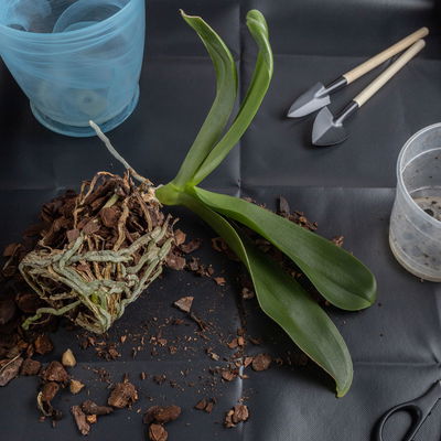 Online Kreativ-Kurs Online Kreativ-Kurs