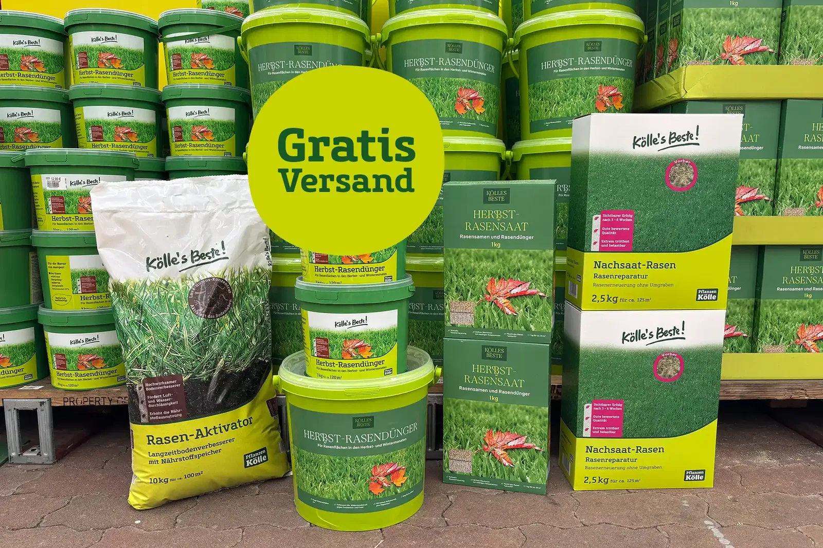 Rasenartikel wie Herbst-Rasendünger, Herbstrasen-Saat und Rasen-Aktivator mit dem Hinweis auf gratis Versand.