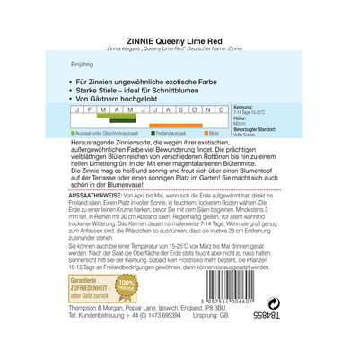 Zinnie „Queeny Lime Red“ (Zinnia elegans) Zinnie „Queeny Lime Red“ (Zinnia elegans)