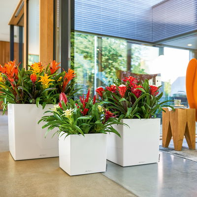 Lechuza 'Cube Premium 30', weiß, ca. 29,5 x 29,5 x H 30 cm Lechuza 'Cube Premium 30', weiß, ca. 29,5 x 29,5 x H 30 cm