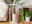 Lichter - Cozy Chic