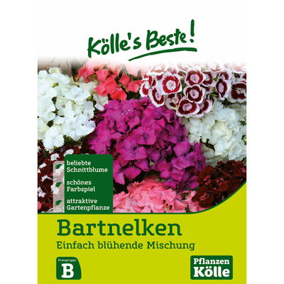 Kölles Beste Blumensamen Bartnelke (Dianthus barbatus) Kölles Beste Blumensamen Bartnelke (Dianthus barbatus)