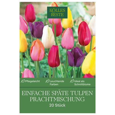 Einfache späte Tulpen Prachtmischung, 20 Blumenzwiebeln