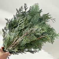 Scheinzypresse 'Glauca' im Handbund, blaugrün, 3 Bund Scheinzypresse 'Glauca' im Handbund, blaugrün, 3 Bund