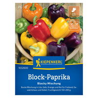 Gemüsesamen, Blockpaprika 'Blocky Mix', bunt