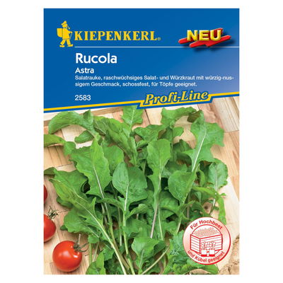 Saatgut Salatrauke 'Astra' Saatgut Salatrauke 'Astra'