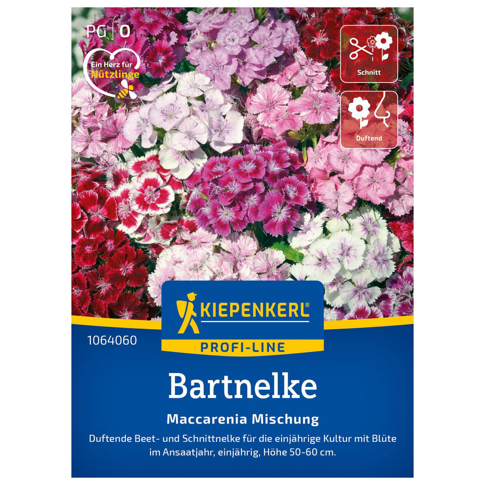 Saatgut, Bartnelken Mix Saatgut, Bartnelken Mix