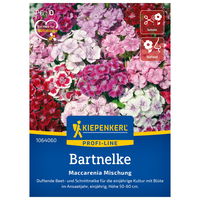 Saatgut, Bartnelken Mix