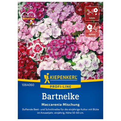 Saatgut, Bartnelken Mix Saatgut, Bartnelken Mix
