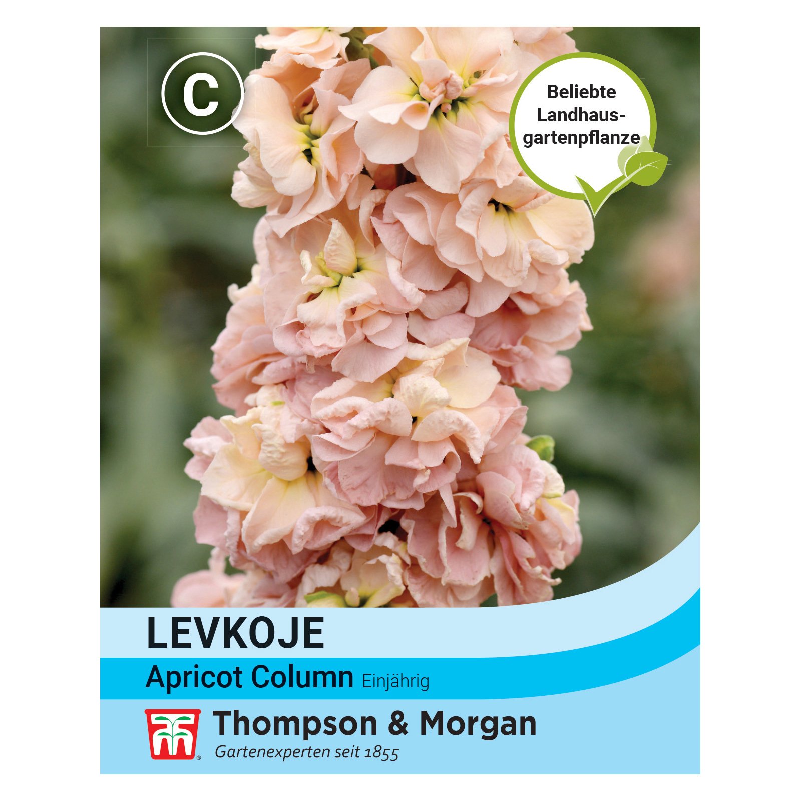 Blumensamen, Levkoje 'Apricot Column', pastell, 50 Stück