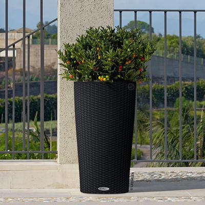 Lechuza 'Cilindro Cottage 23', graphitschwarz, ca. Ø 23 x H 41 cm