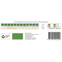 Gefüllte frühe Tulpen Mondial weiß, 7 Blumenzwiebeln Gefüllte frühe Tulpen Mondial weiß, 7 Blumenzwiebeln