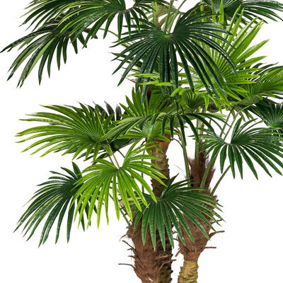 Kunstpflanze Fächerpalme, Höhe ca. 185 cm