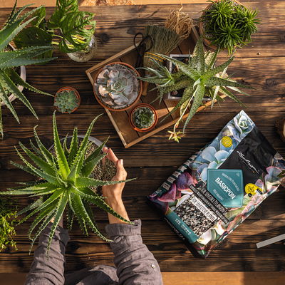 Lechuza Basicpon Pflanzsubstrat, 12 Liter