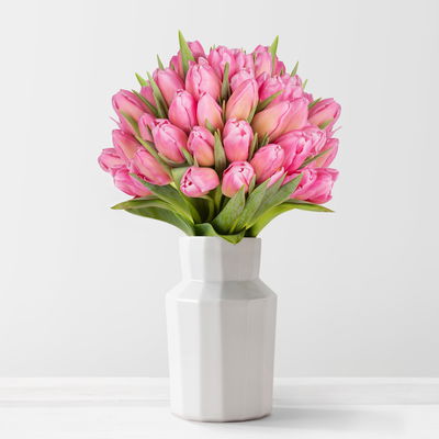 50 pinke Tulpen