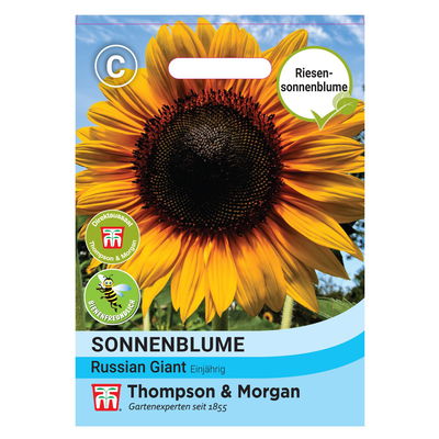 Thompson & Morgan Blumensamen Sonnenblume 