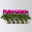 Alpenveilchen Outdoor 'Fantasia', Mini , lila-weiß, Topf-Ø 6 cm, 10 Pflanzen Alpenveilchen Outdoor 'Fantasia', Mini , lila-weiß, Topf-Ø 6 cm, 10 Pflanzen