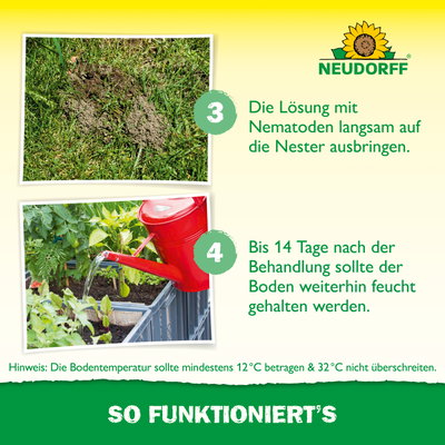 Neudorff Bestell-Set Nützlinge gegen Ameisen, 10 Mio Stück Neudorff Bestell-Set Nützlinge gegen Ameisen, 10 Mio Stück