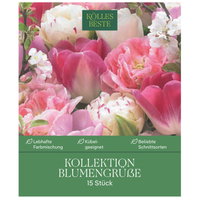 Kollektion Blumengrüße Tulpen Mischung, 15 Blumenzwiebeln