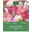 Kollektion Blumengrüße Tulpen Mischung, 15 Blumenzwiebeln Kollektion Blumengrüße Tulpen Mischung, 15 Blumenzwiebeln