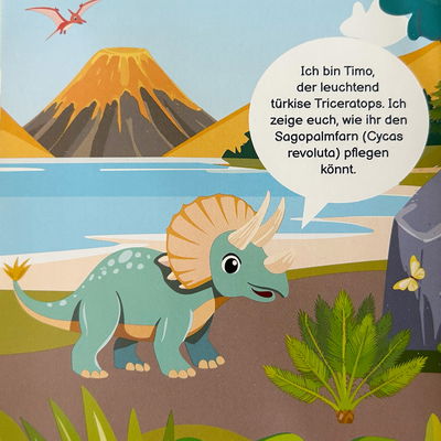 Dino Snack®, Timo, Cycas, Topf-Ø 14 cm, mit Brotdose Dino Snack®, Timo, Cycas, Topf-Ø 14 cm, mit Brotdose