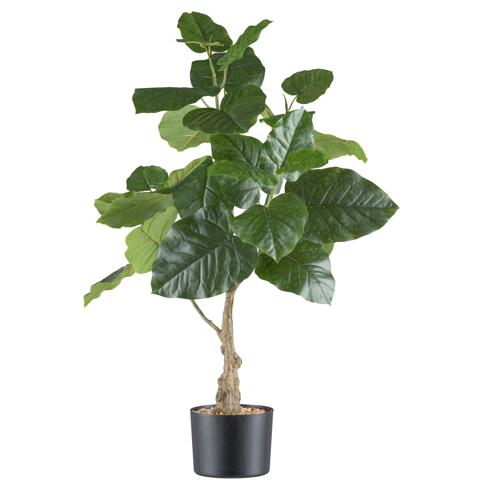 Künstliche Steinfeige 'Ficus petioralis', Höhe ca. 85 cm