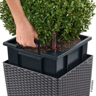 Lechuza 'Cube Cottage 50', granit, ca. 49 x 49 x H 49,5 cm