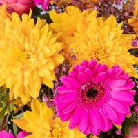 Blumenstrauß 'Prima' pink-orange, handgebunden