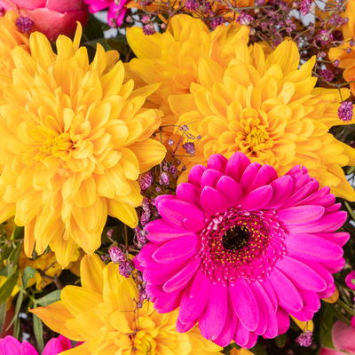 Blumenstrauß 'Prima' pink-orange, handgebunden Blumenstrauß 'Prima' pink-orange, handgebunden