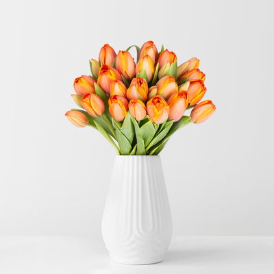 30 orange/gelbe Tulpen 'Ad Rem' 30 orange/gelbe Tulpen 'Ad Rem'