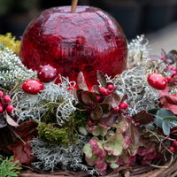 Online Kreativ-Kurs Online Kreativ-Kurs