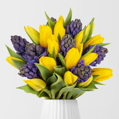 Schnittblumen-Mix aus 20 gelben Tulpen & 9 blauen Hyazinthen
