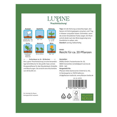 Kölles Beste Blumensamen, Lupine 'Prachtmischung'